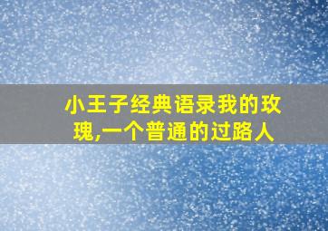 小王子经典语录我的玫瑰,一个普通的过路人