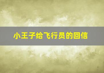 小王子给飞行员的回信