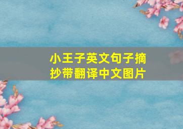 小王子英文句子摘抄带翻译中文图片