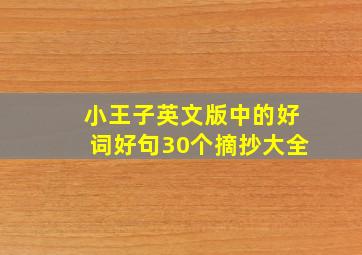 小王子英文版中的好词好句30个摘抄大全