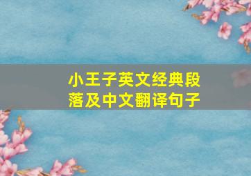 小王子英文经典段落及中文翻译句子