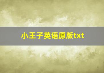 小王子英语原版txt