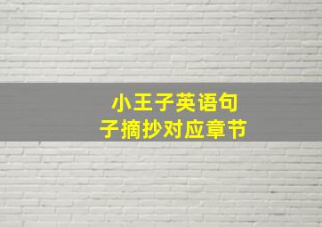 小王子英语句子摘抄对应章节