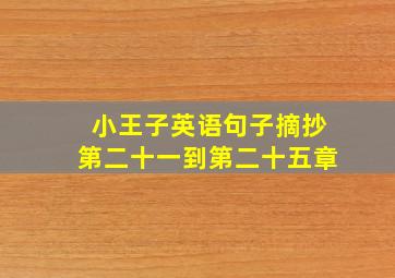 小王子英语句子摘抄第二十一到第二十五章