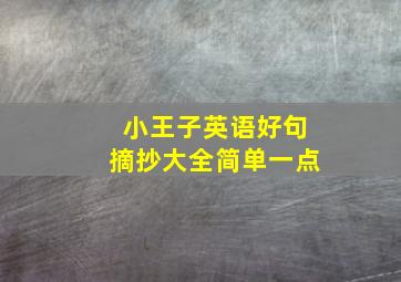 小王子英语好句摘抄大全简单一点