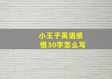 小王子英语感悟30字怎么写