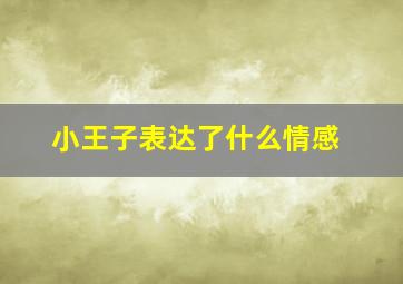 小王子表达了什么情感