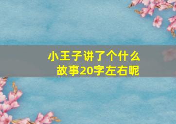 小王子讲了个什么故事20字左右呢