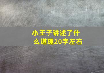 小王子讲述了什么道理20字左右