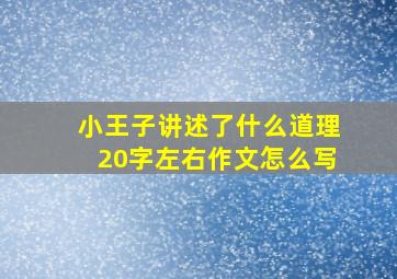 小王子讲述了什么道理20字左右作文怎么写