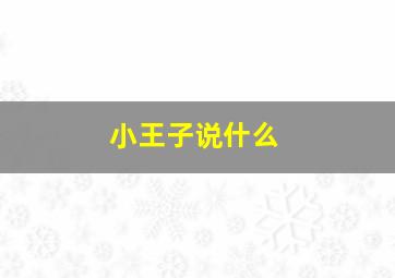 小王子说什么