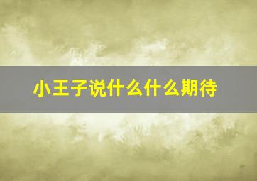 小王子说什么什么期待