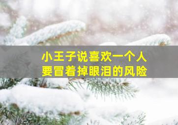 小王子说喜欢一个人要冒着掉眼泪的风险