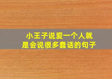 小王子说爱一个人就是会说很多蠢话的句子