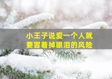 小王子说爱一个人就要冒着掉眼泪的风险