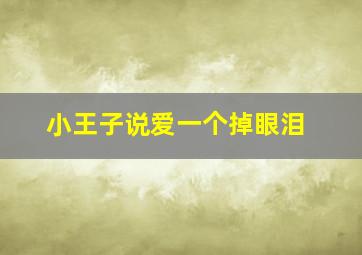 小王子说爱一个掉眼泪