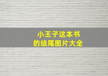 小王子这本书的结尾图片大全