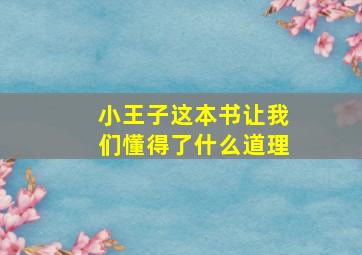 小王子这本书让我们懂得了什么道理