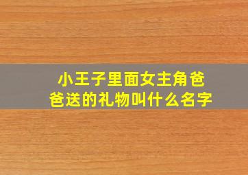 小王子里面女主角爸爸送的礼物叫什么名字