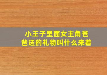 小王子里面女主角爸爸送的礼物叫什么来着