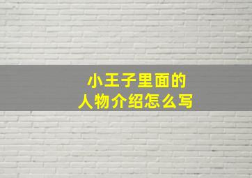 小王子里面的人物介绍怎么写