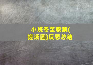 小班冬至教案(搓汤圆)反思总结