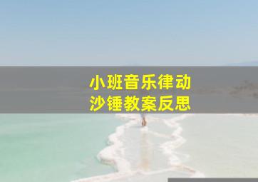 小班音乐律动沙锤教案反思