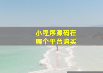 小程序源码在哪个平台购买