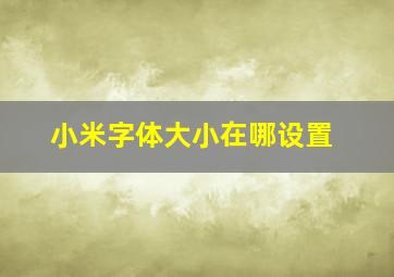 小米字体大小在哪设置