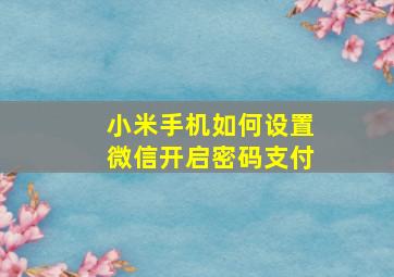 小米手机如何设置微信开启密码支付