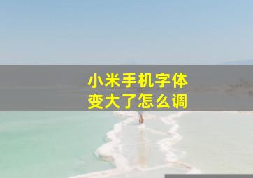 小米手机字体变大了怎么调