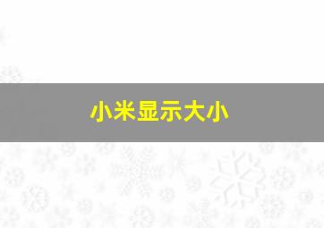 小米显示大小