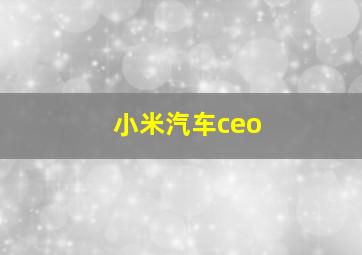 小米汽车ceo