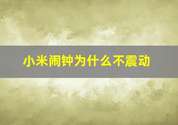 小米闹钟为什么不震动