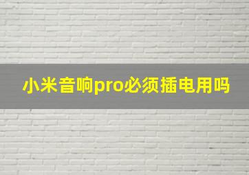 小米音响pro必须插电用吗