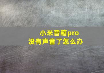 小米音箱pro没有声音了怎么办