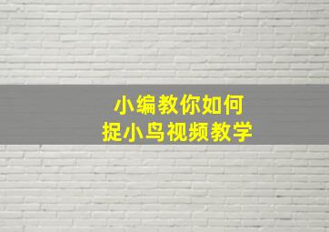 小编教你如何捉小鸟视频教学