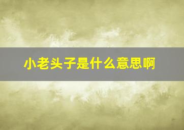 小老头子是什么意思啊