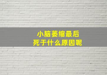 小脑萎缩最后死于什么原因呢