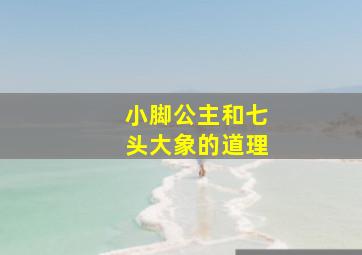 小脚公主和七头大象的道理