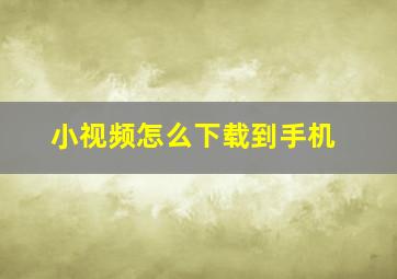 小视频怎么下载到手机