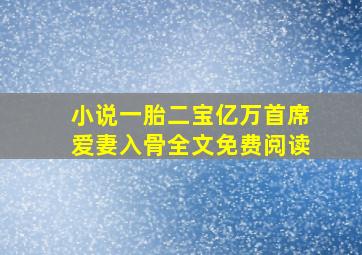 小说一胎二宝亿万首席爱妻入骨全文免费阅读