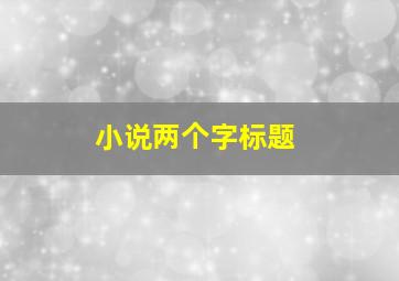 小说两个字标题