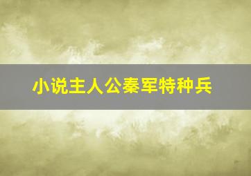 小说主人公秦军特种兵