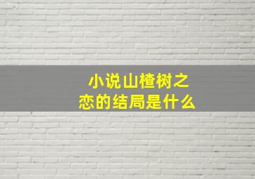 小说山楂树之恋的结局是什么