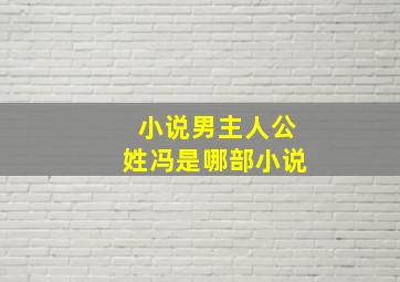 小说男主人公姓冯是哪部小说