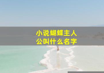 小说蝴蝶主人公叫什么名字