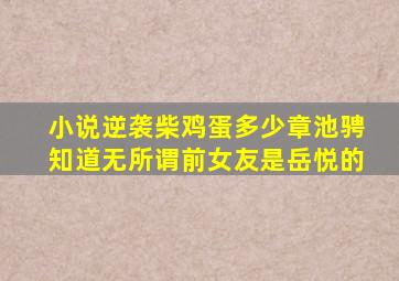 小说逆袭柴鸡蛋多少章池骋知道无所谓前女友是岳悦的