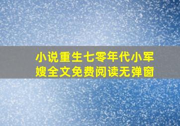 小说重生七零年代小军嫂全文免费阅读无弹窗