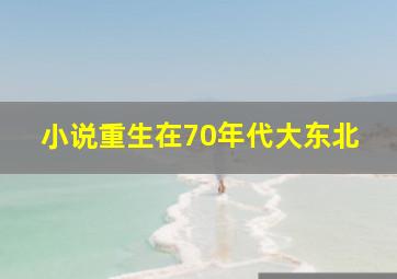 小说重生在70年代大东北